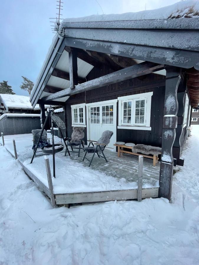 Hytte I Nydelige Jotunhemen - Rett Ved Besseggen Randsverk Экстерьер фото